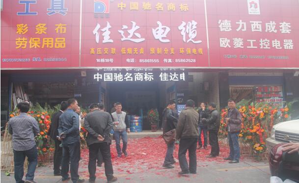 湖南草莓视频下载网址电线电缆有限公司,草莓视频下载网址电线电缆,草莓视频污版在线观看系列,控制电缆,电线电缆企业哪里好